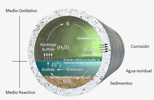 Sewervac01