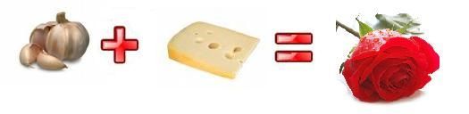 Odour equation
